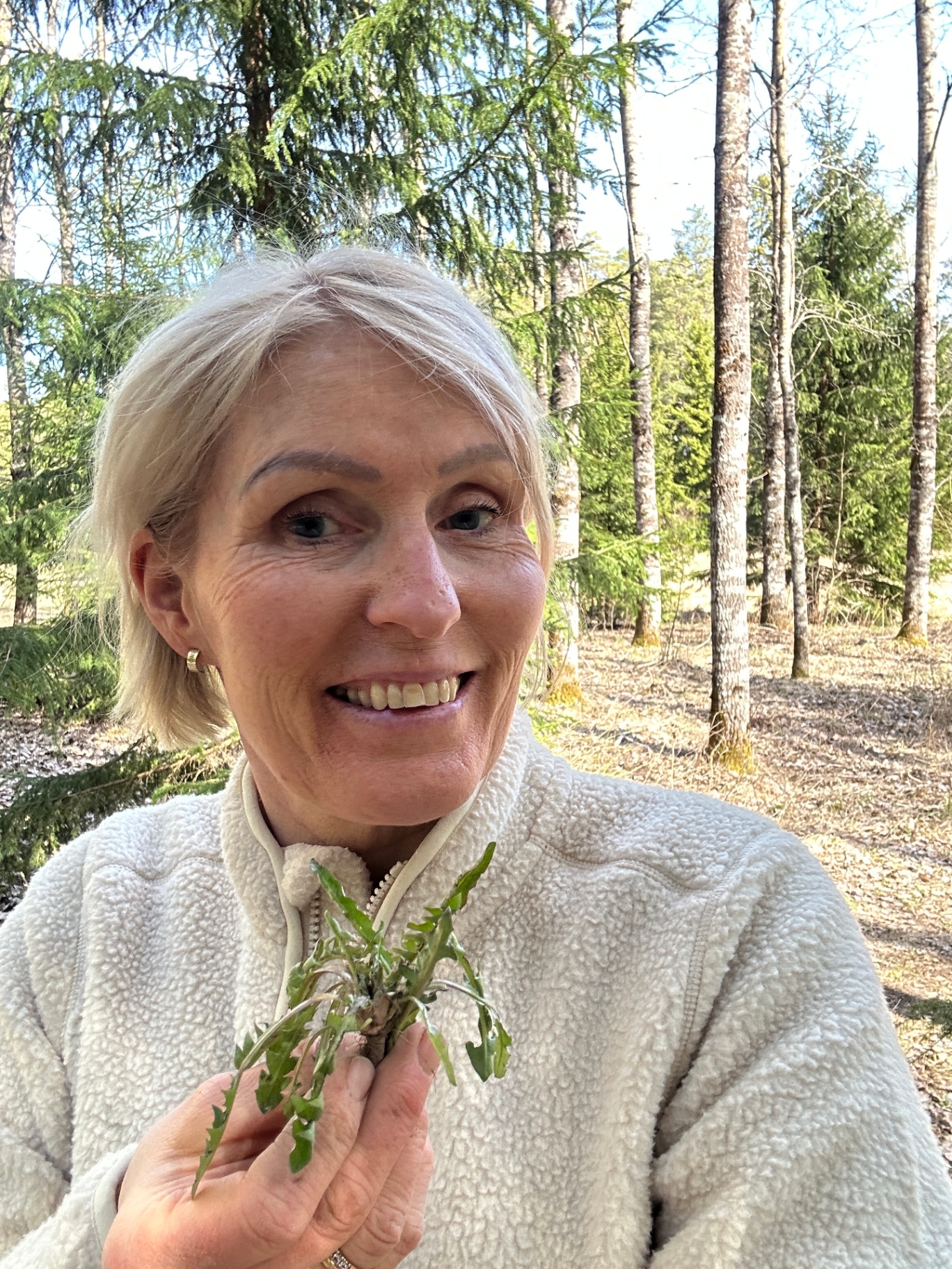 Vilda örter på linnetyg