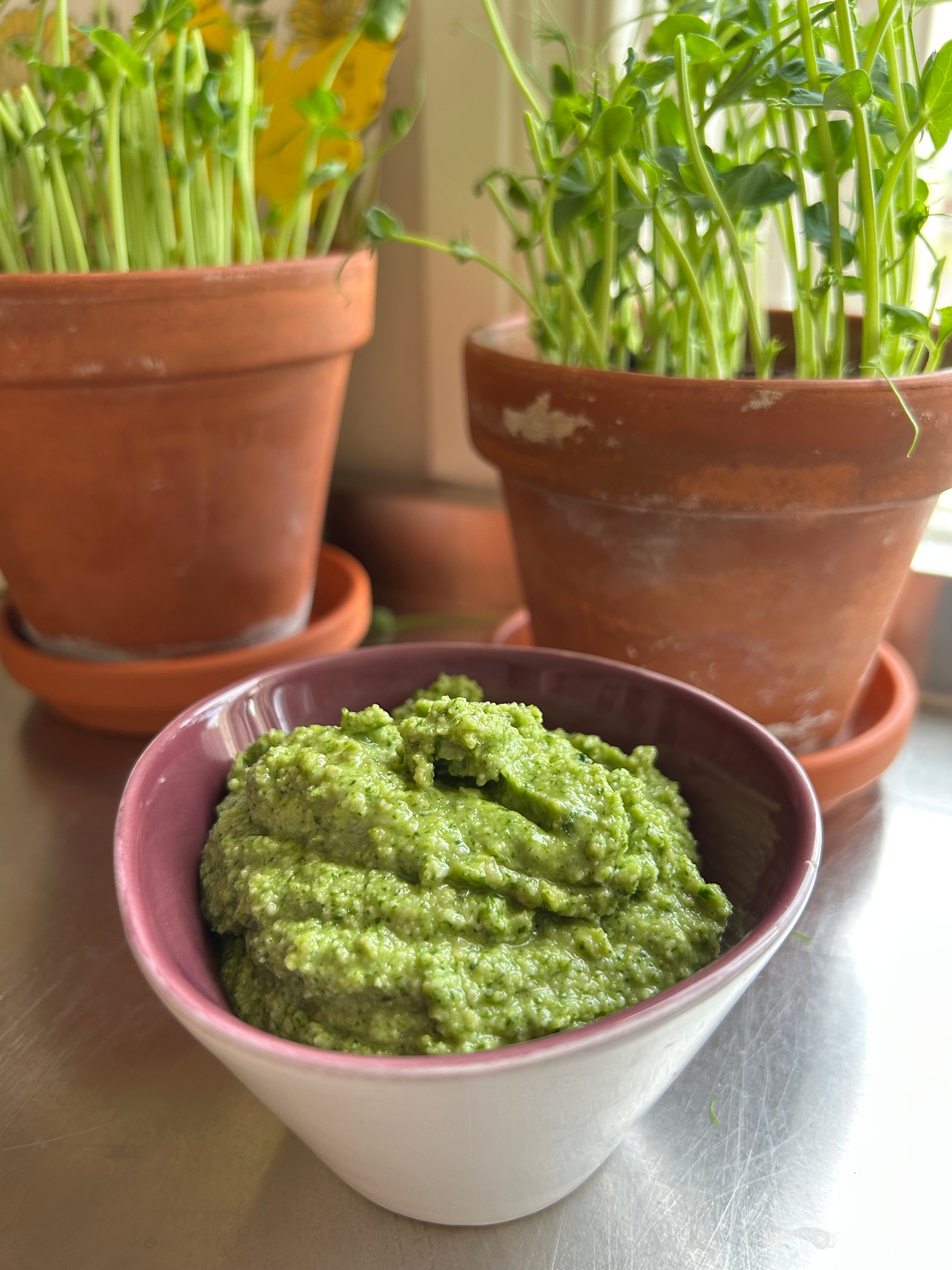 Nässelpesto